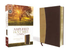Cover image for Amplified Bible-Am-Compact, isbn: 9780310444008