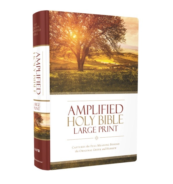 Cover image for Amplified Bible-Am-Large Print, isbn: 9780310444039