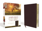 Cover image for Amplified Bible-Am-Large Print, isbn: 9780310444053