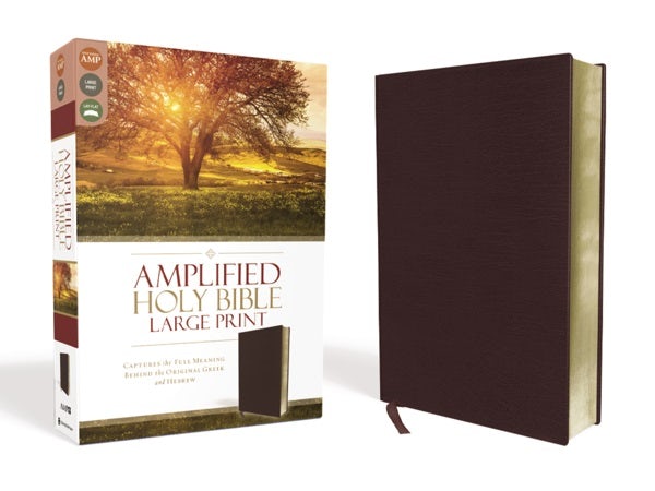 Cover image for Amplified Bible-Am-Large Print, isbn: 9780310444053