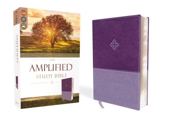 Cover image for Amplified Study Bible, Imitation Leather, Purple, isbn: 9780310446521