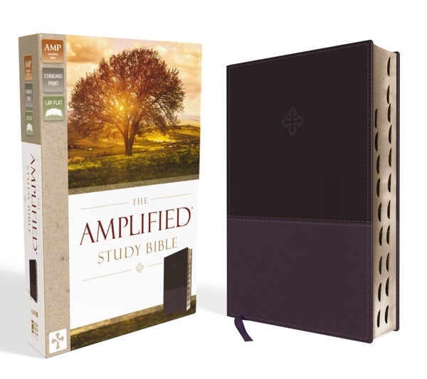 Cover image for Amplified Study Bible, Imitation Leather, Purple, Indexed, isbn: 9780310446538