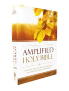 Cover image for Amplified Outreach Bible, Paperback, isbn: 9780310447009