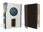 Cover image for Niv, Giant Print Compact Bible, Leathersoft, Black, Red Letter Edition, Comfort Print, isbn: 9780310454670