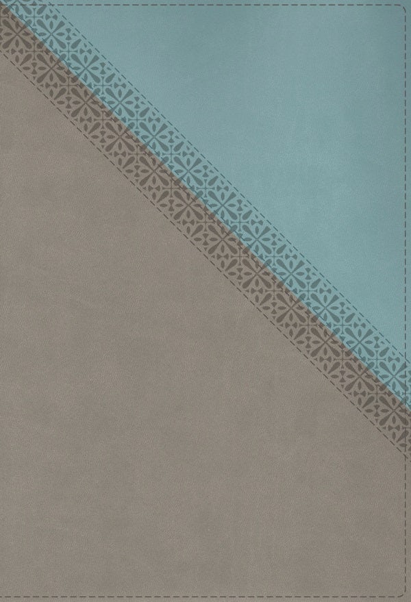 Cover image for NIV Application Bible, Leathersoft, Teal/Grey, Red Letter, Comfort Print, isbn: 9780310467717