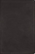 Cover image for Nrsvue, Single-Column Reference Bible, Genuine Calfskin Leather, Black, Art Gilded Edges, Comfort Print, isbn: 9780310469179