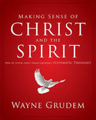 Cover image for Making Sense of Christ and the Spirit, isbn: 9780310493143
