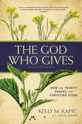 Cover image for The God Who Gives, isbn: 9780310520269