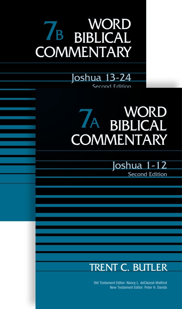 Cover image for Joshua (2-Volume Set---7a and 7b), isbn: 9780310520450