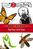 Cover image for Big Bugs, Little Bugs, isbn: 9780310721864