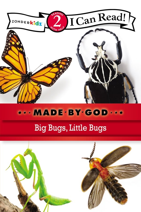 Cover image for Big Bugs, Little Bugs, isbn: 9780310721864