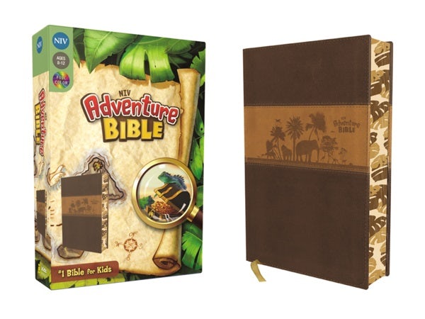 Cover image for Adventure Bible-NIV, isbn: 9780310729693