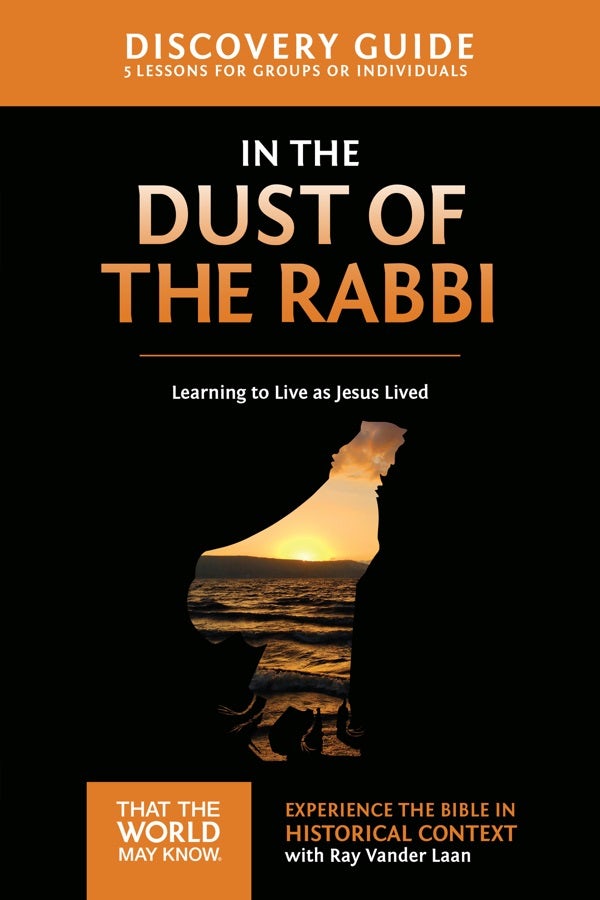 Cover image for In the Dust of the Rabbi Discovery Guide, isbn: 9780310879664