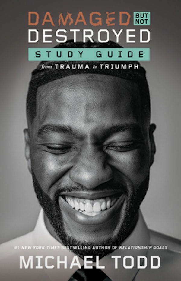 Cover image for Damaged But Not Destroyed Study Guide, isbn: 9780593444917