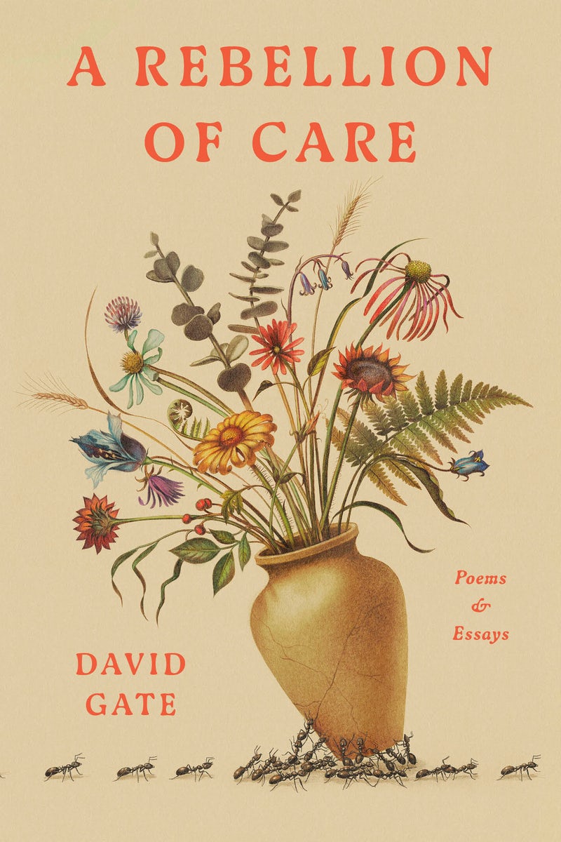 Cover image for A Rebellion of Care, isbn: 9780593602171