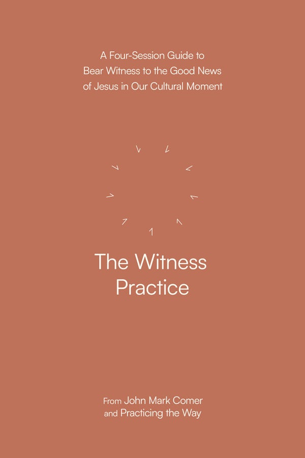Cover image for The Witness Practice, isbn: 9780593603413