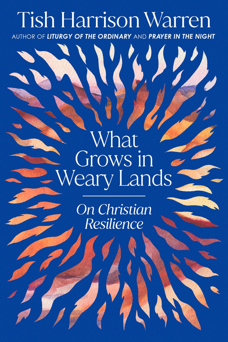 Cover image for What Grows in Weary Lands, isbn: 9780593728840