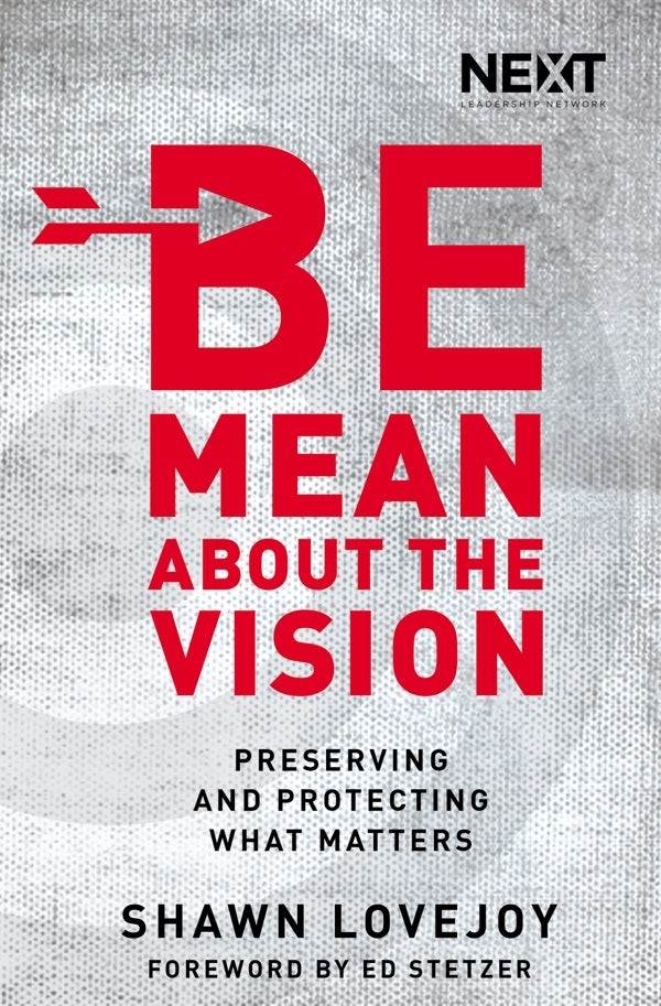 Cover image for Be Mean about the Vision, isbn: 9780718032883