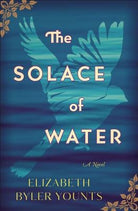Cover image for The Solace of Water, isbn: 9780718075668