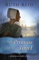 Cover image for The Promise of an Angel, isbn: 9780718084776
