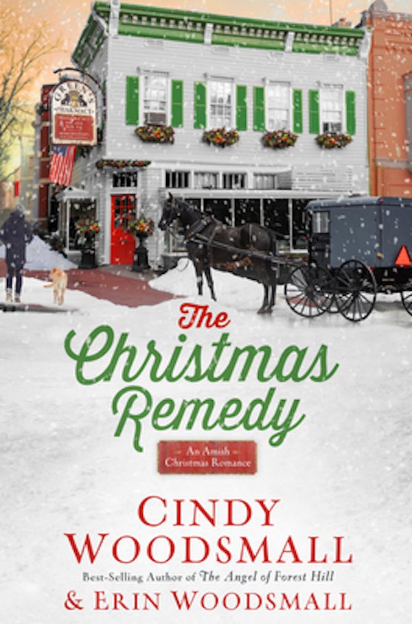Cover image for The Christmas Remedy, isbn: 9780735291041