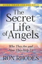 Cover image for Secret Life of Angels, isbn: 9780736948791