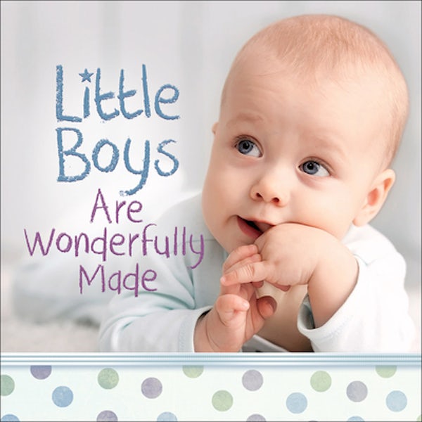Cover image for Little Boys Are Wonderfully Made, isbn: 9780736965842