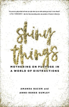 Cover image for Shiny Things, isbn: 9780736973670
