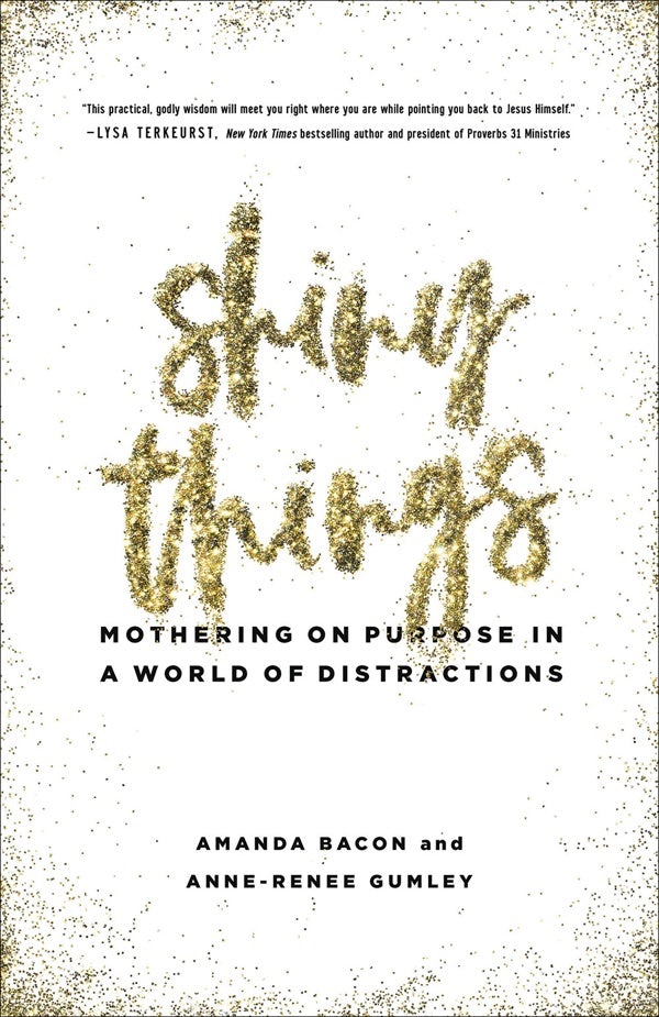 Cover image for Shiny Things, isbn: 9780736973670