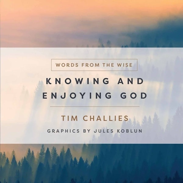 Cover image for Knowing and Enjoying God, isbn: 9780736983853