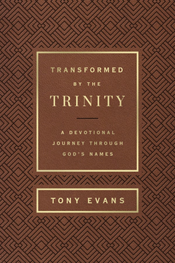 Cover image for Transformed by the Trinity (Milano Softone), isbn: 9780736985055