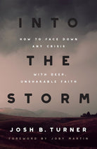 Cover image for Into the Storm, isbn: 9780736987745
