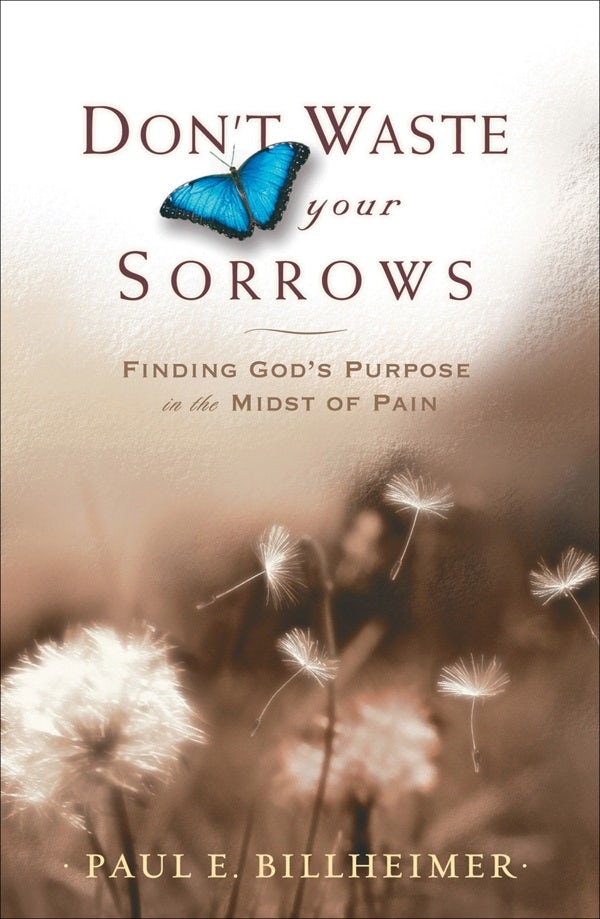 Cover image for Don't Waste Your Sorrows, isbn: 9780764201585
