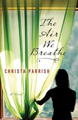 Cover image for Air We Breathe, isbn: 9780764205552