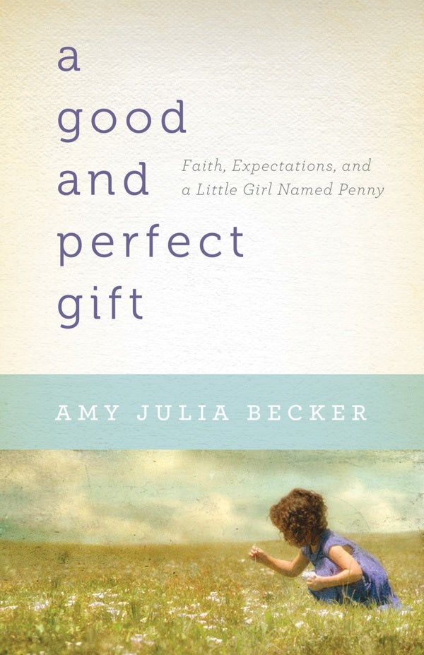 Cover image for A Good and Perfect Gift, isbn: 9780764209178