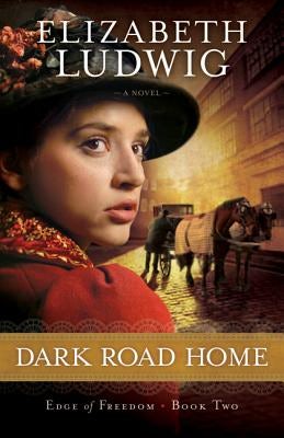 Cover image for Dark Road Home, isbn: 9780764210402