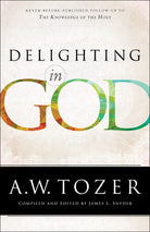 Cover image for Delighting in God, isbn: 9780764217012