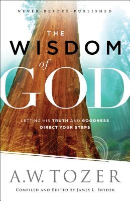 Cover image for The Wisdom of God, isbn: 9780764218088