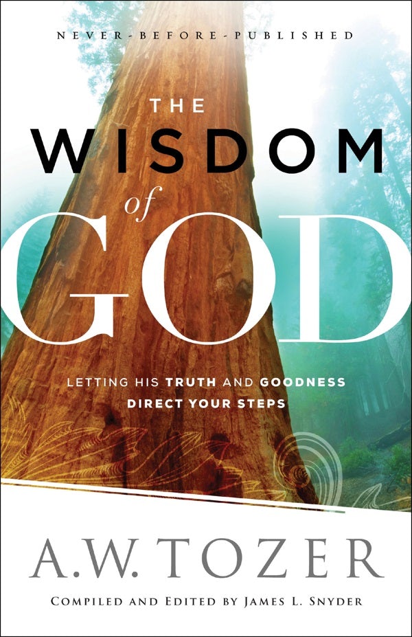 Cover image for The Wisdom of God, isbn: 9780764218088