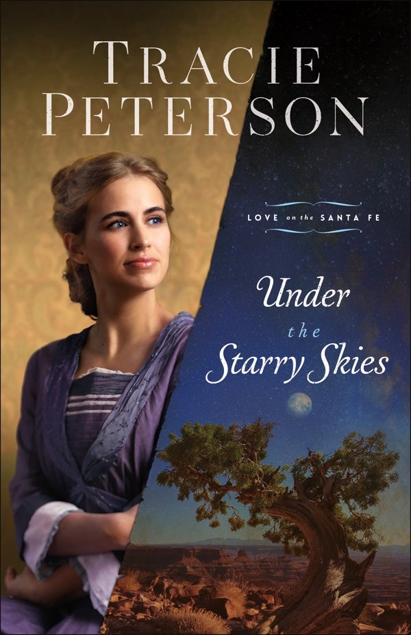 Cover image for Under the Starry Skies, isbn: 9780764237355