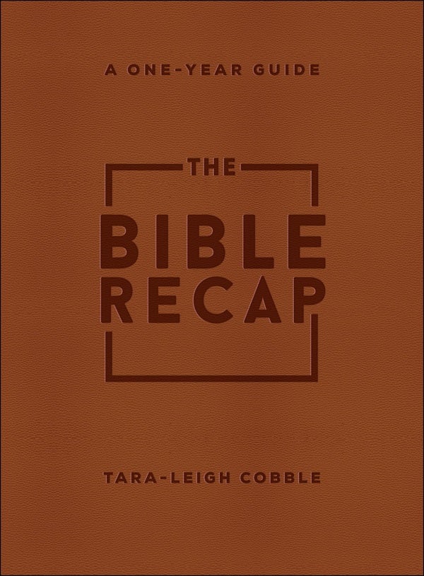 Cover image for The Bible Recap, isbn: 9780764239779