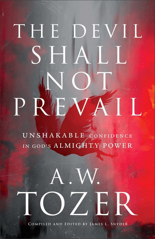 Cover image for The Devil Shall Not Prevail, isbn: 9780764240294