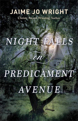 Cover image for Night Falls on Predicament Avenue, isbn: 9780764241451