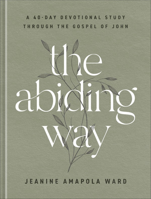 Cover image for The Abiding Way, isbn: 9780764241789