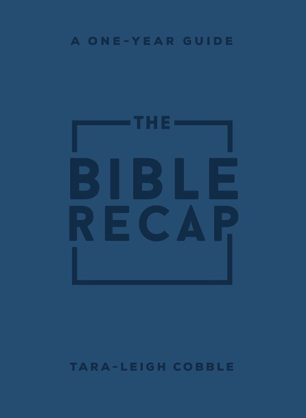 Cover image for The Bible Recap, isbn: 9780764241918