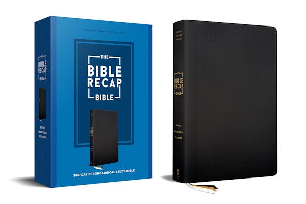 Cover image for The Bible Recap 365-Day Chronological Study Bible, isbn: 9780764245848