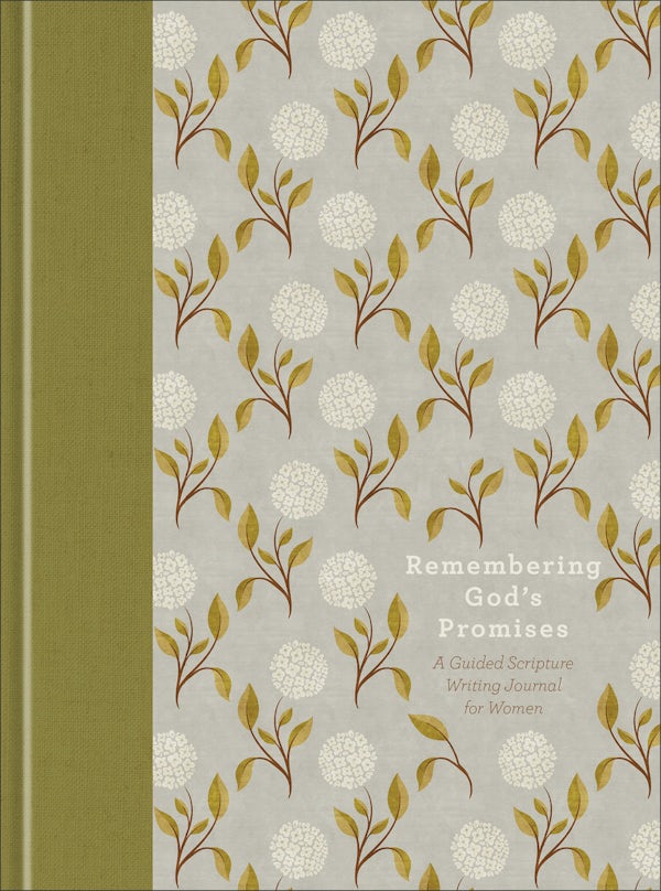 Cover image for Remembering God's Promises, isbn: 9780764246579
