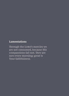 Cover image for NKJV Bible Journal - Lamentations Softcover, isbn: 9780785236016