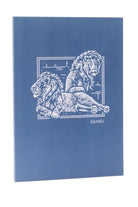 Cover image for Net Abide Bible Journal - Daniel, Paperback, Comfort Print, isbn: 9780785237228