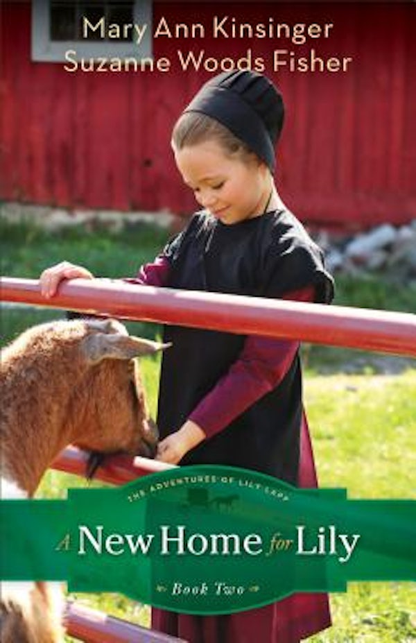 Cover image for A New Home for Lily, isbn: 9780800721336